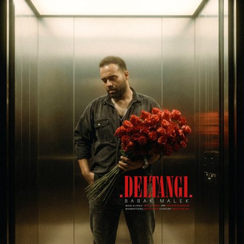 دانلود آهنگ بابک ملک دلتنگی